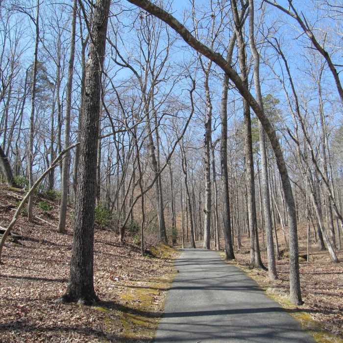 "Kings Mountain National Military Park - South Carolina" by Doug Kerr (https://tinyurl.com/tbhhwzq), Flickr licensed under CC BY-SA 2.0 (https://creativecommons.org/licenses/by-sa/2.0/). Near Kings Mountain Battlefield Loop