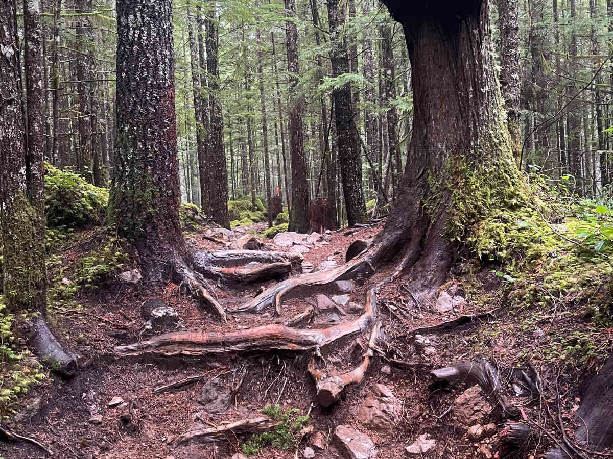 Wray's Way photo 3