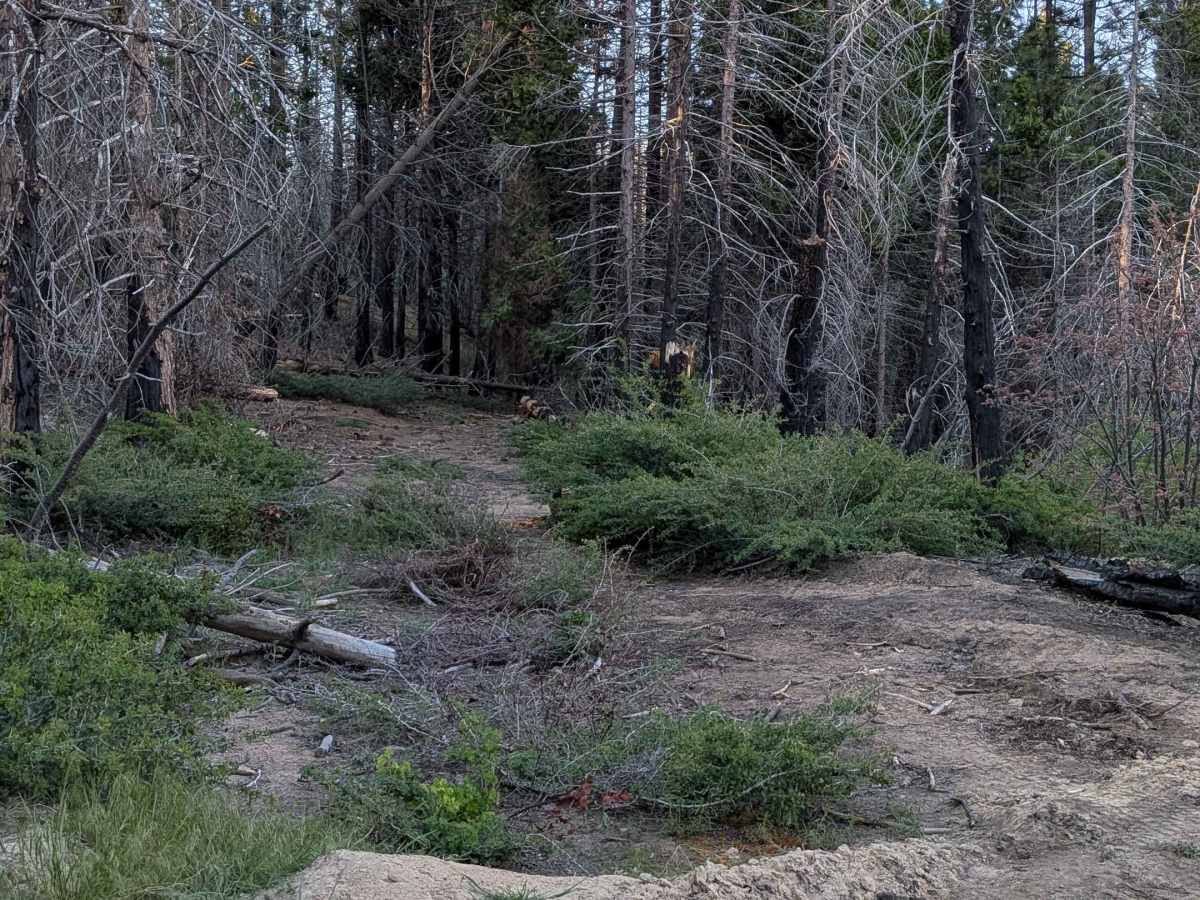 Forks - FS 23S62 photo 6