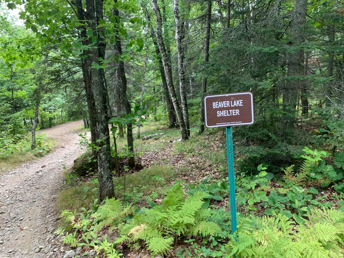 Graham Trail photo 6
