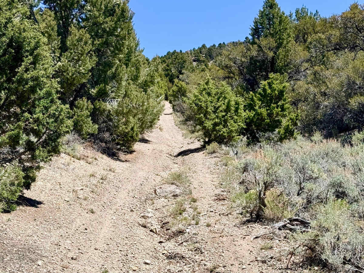 Upper South Brock Connector - FS 43514 photo 5