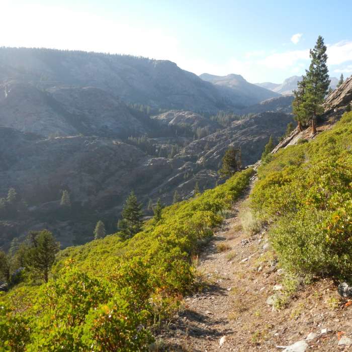 Near Iron Creek Trail