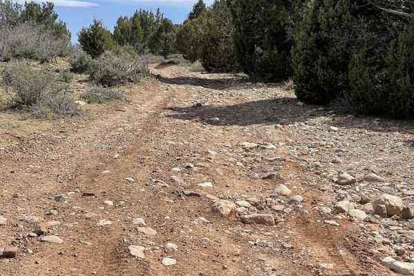 Juniper Ridge
