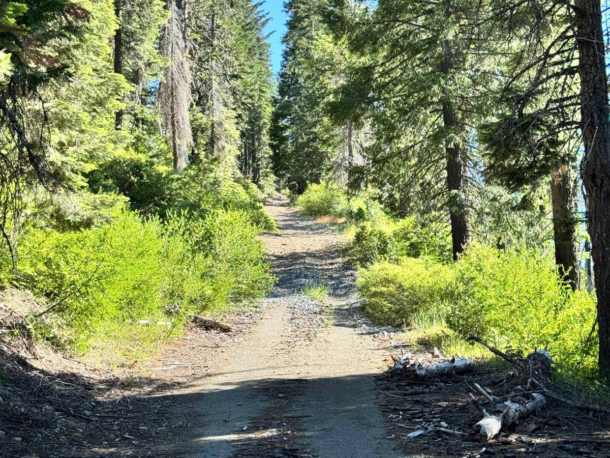 Red Star Ridge - FS 57 trail photo