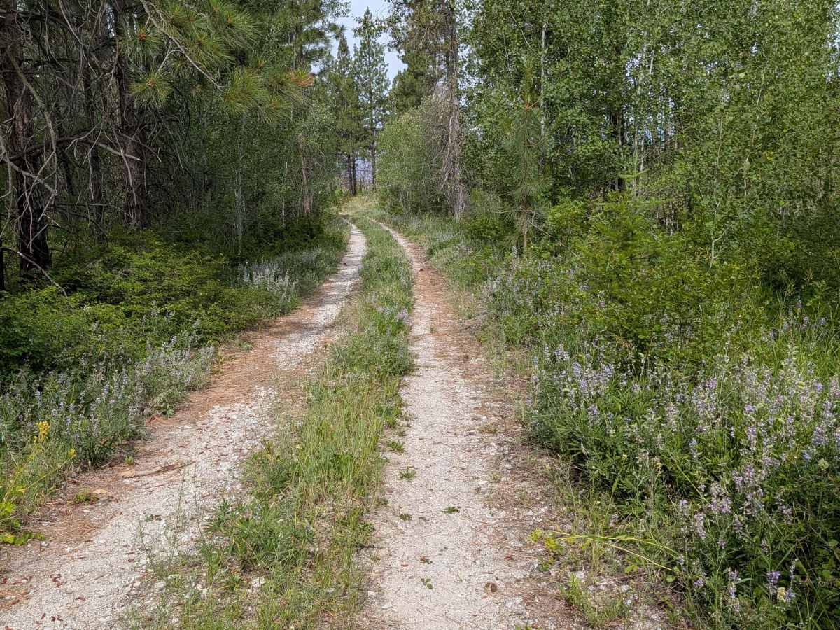 FS 4150-400 trail photo
