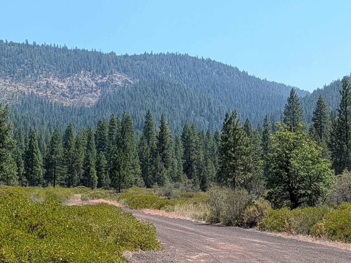 Old Camp Two - FS 41N03 trail photo