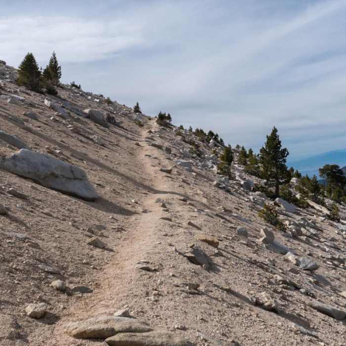 Near San Gorgonio via Momyer Creek Trail + Vivian Creek Trail