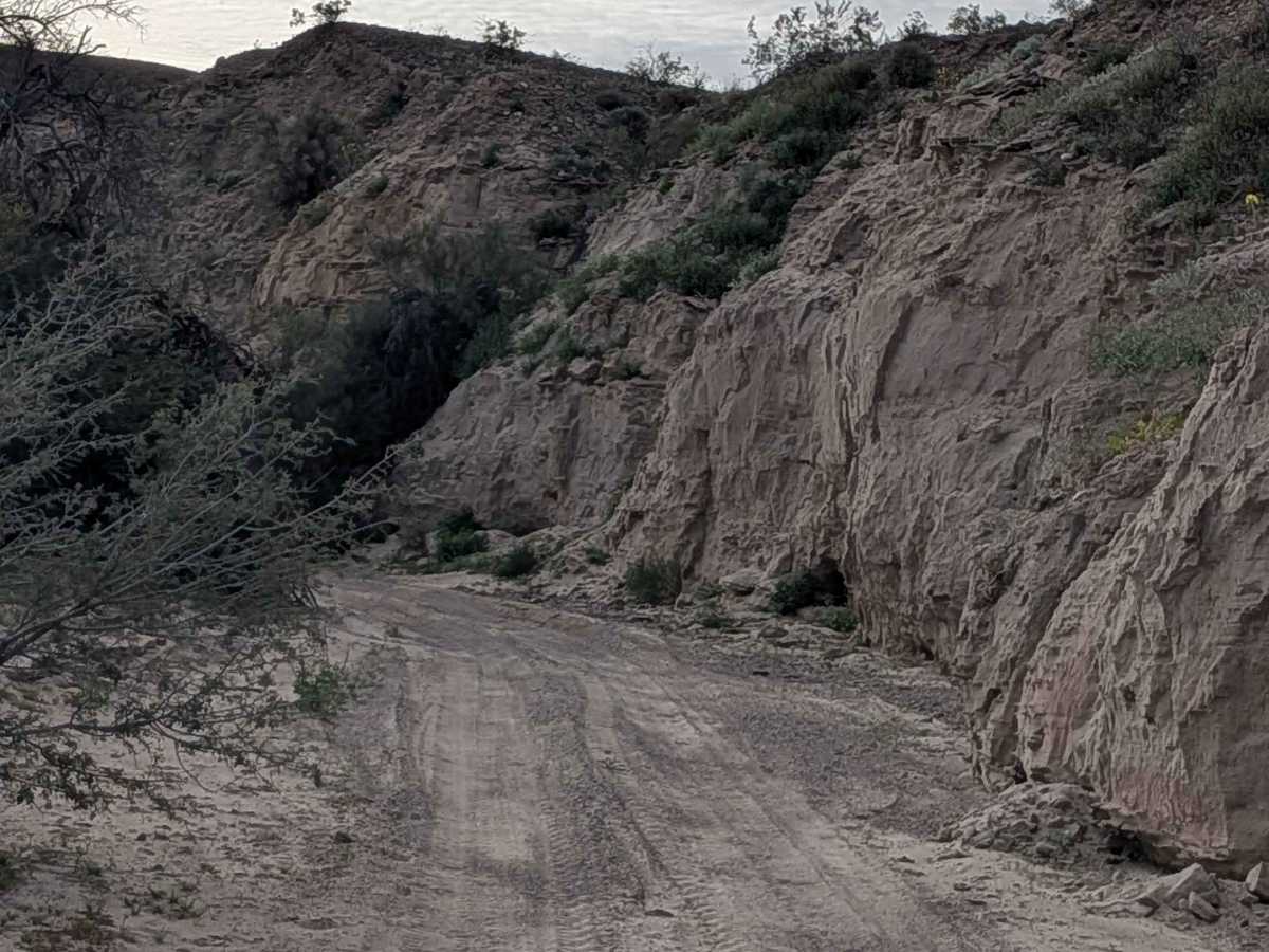 EC1187 photo 3