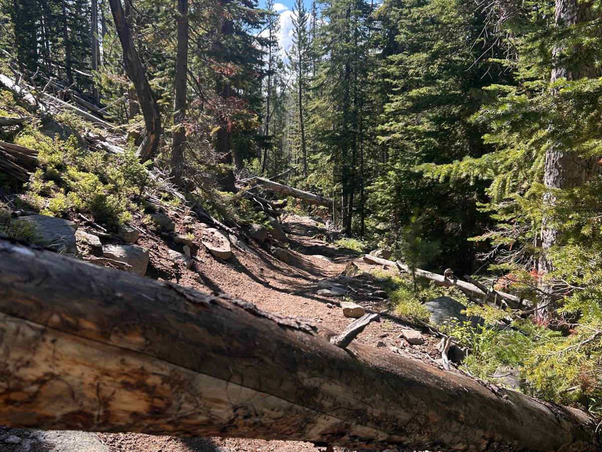 Nez Perce Trail 7092 photo 3