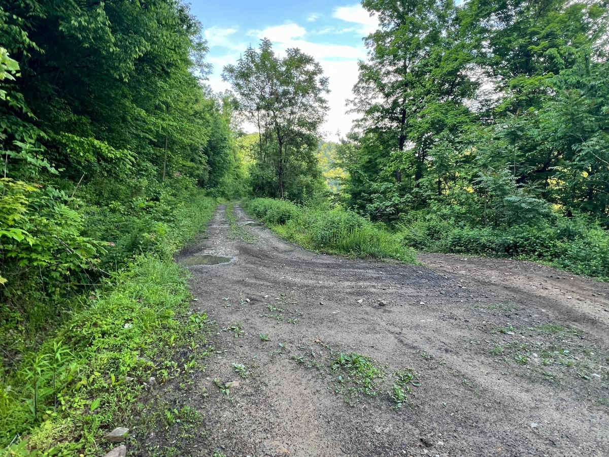 KC12 trail photo