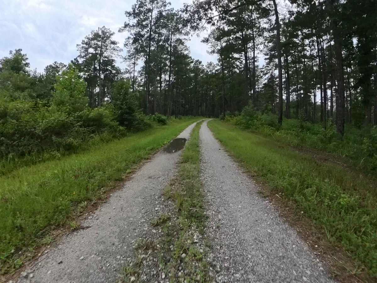 West Vaco Road photo 5