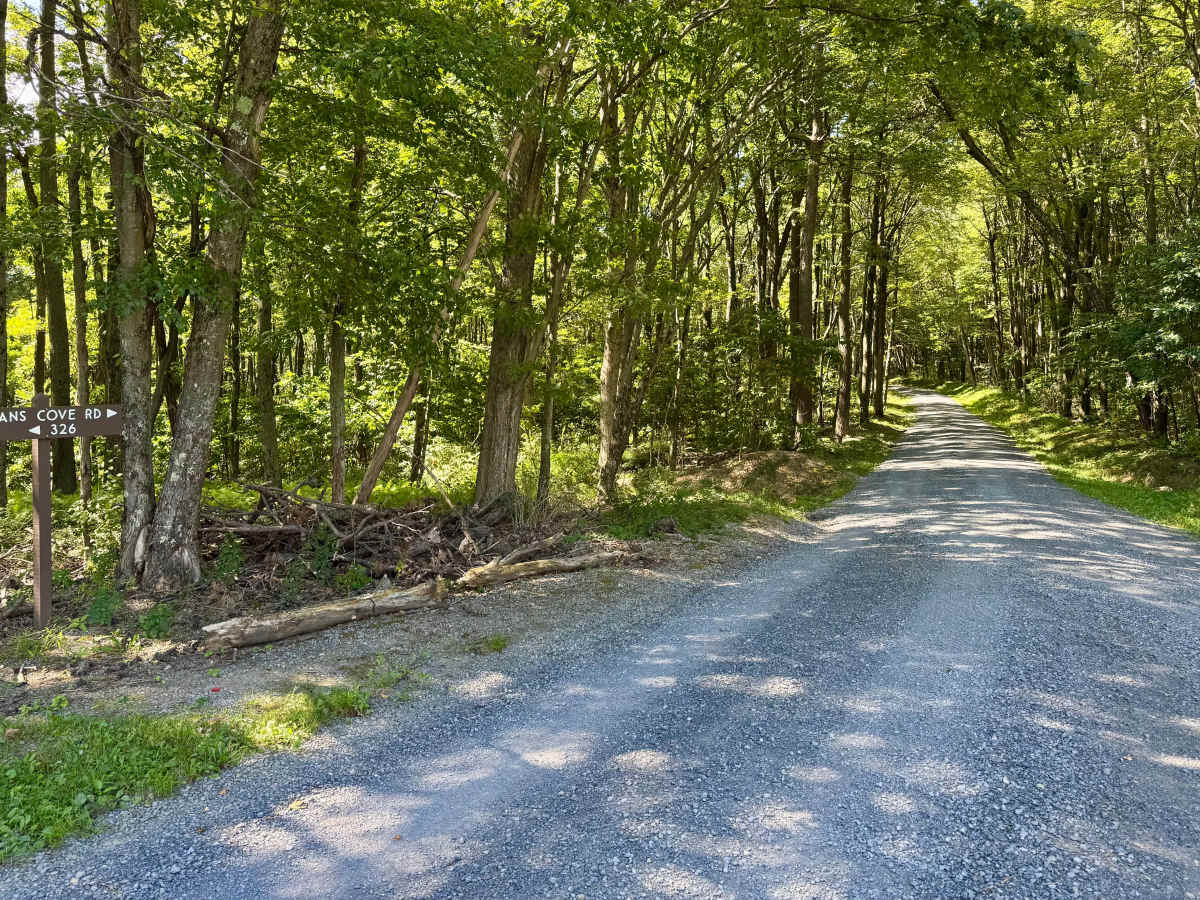 Martin Hill Road photo 4