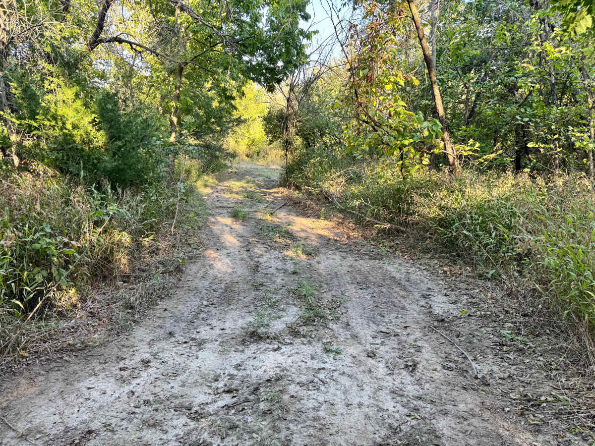 Shade Tree Lane photo 3