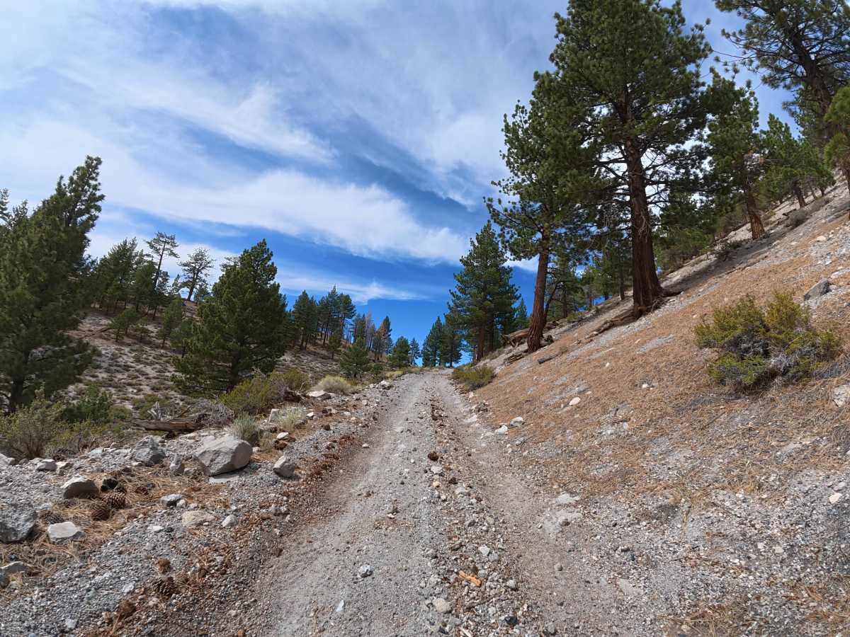 FS 1S122 trail photo
