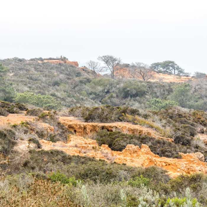 Near Razor Point Trail