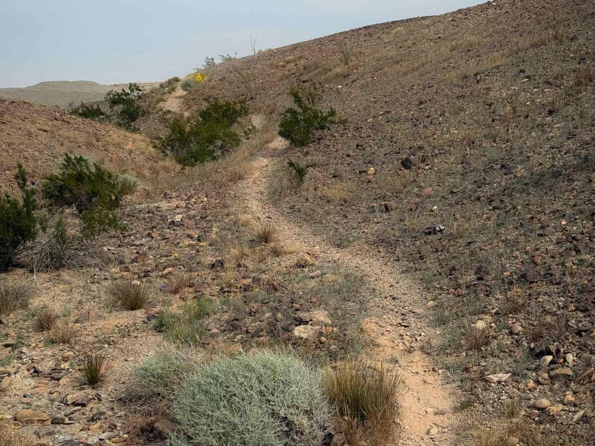 Bart trail photo