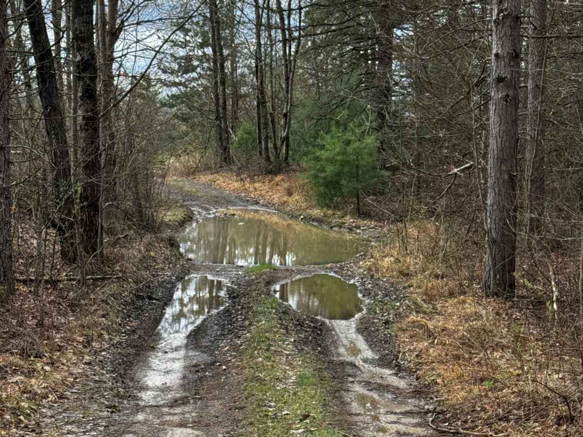 Hog Back Mountain Trail photo 6