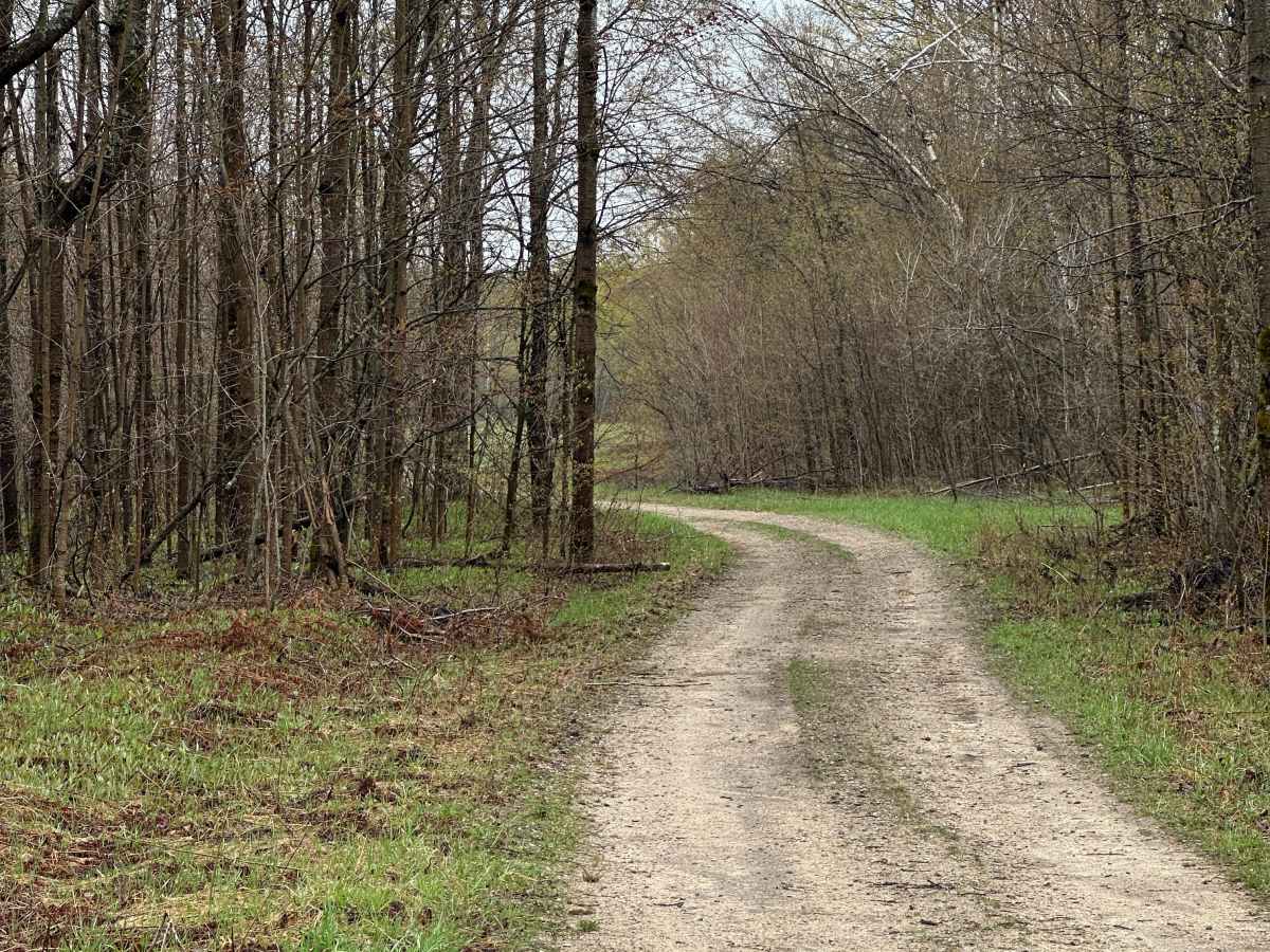 Deward Cutover photo 4
