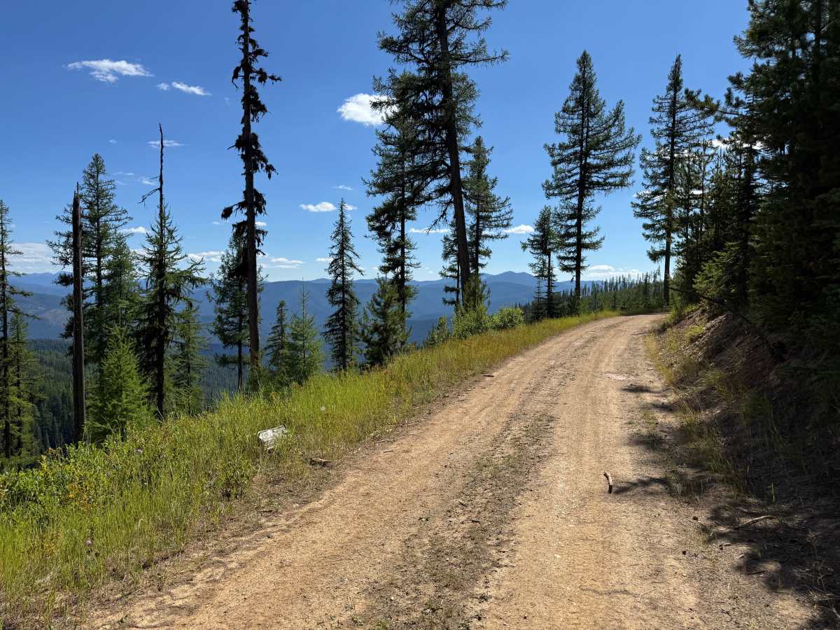 Rock Creek Road - FSR 444 photo 3