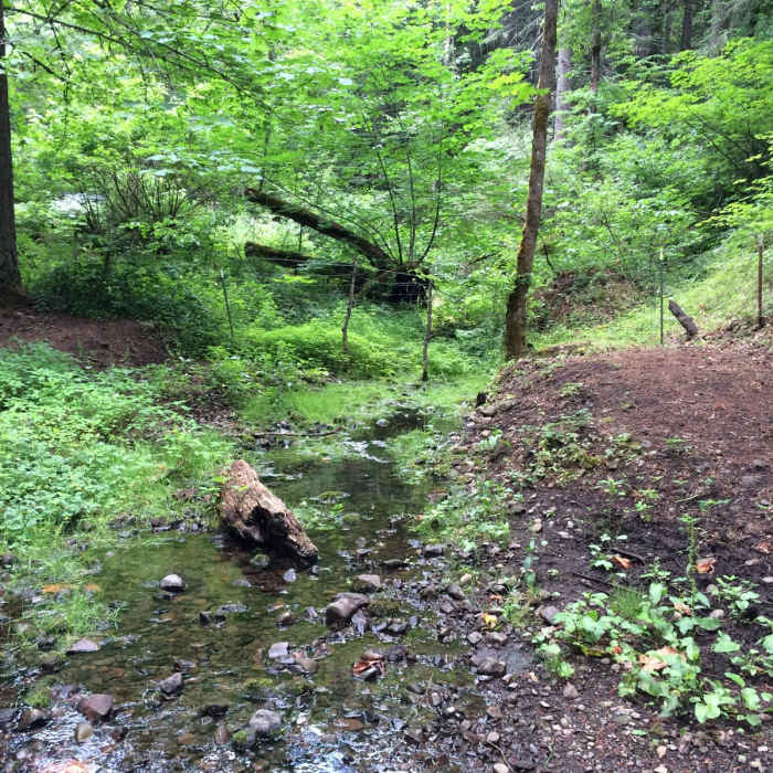 Near Jewett Creek Watershed