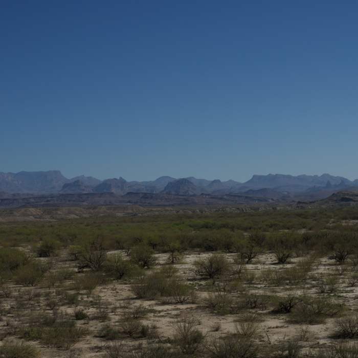 Near Dorgan Sublett Trail