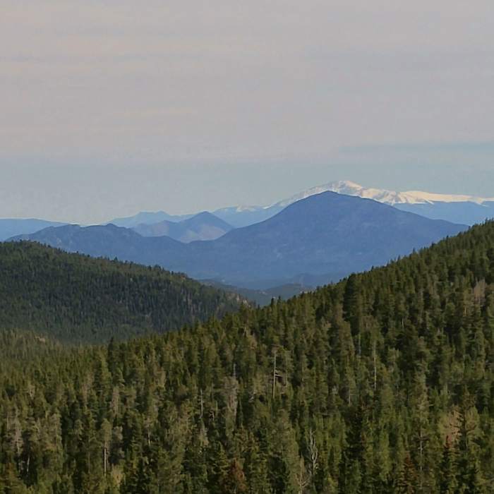 Cub Creek Trail to Staunton Park connection. Looking SW with Pikes Peak in the distance. Near North Elk Creek Trail #764