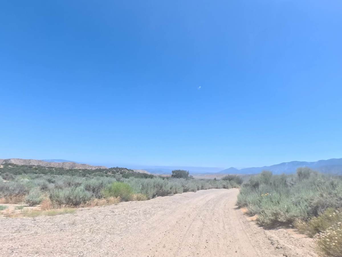 Meadows Trail - Upper Segment photo 3