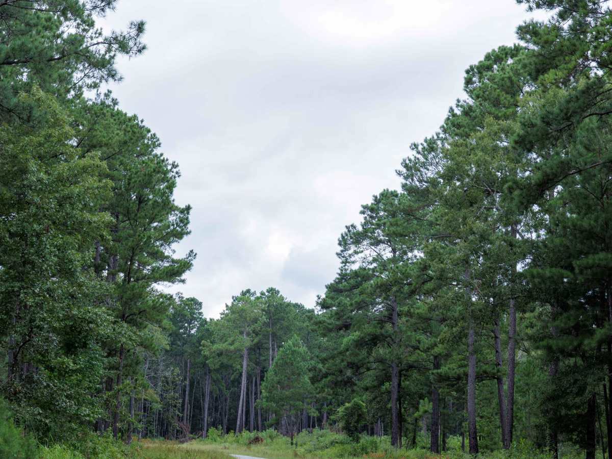 Miller Lake Access photo 3