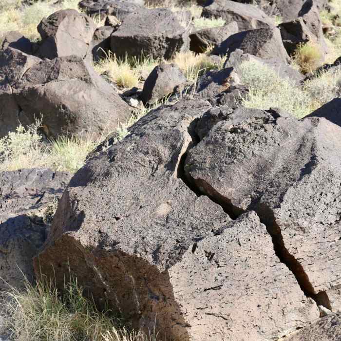 Near Rinconada Canyon Trail