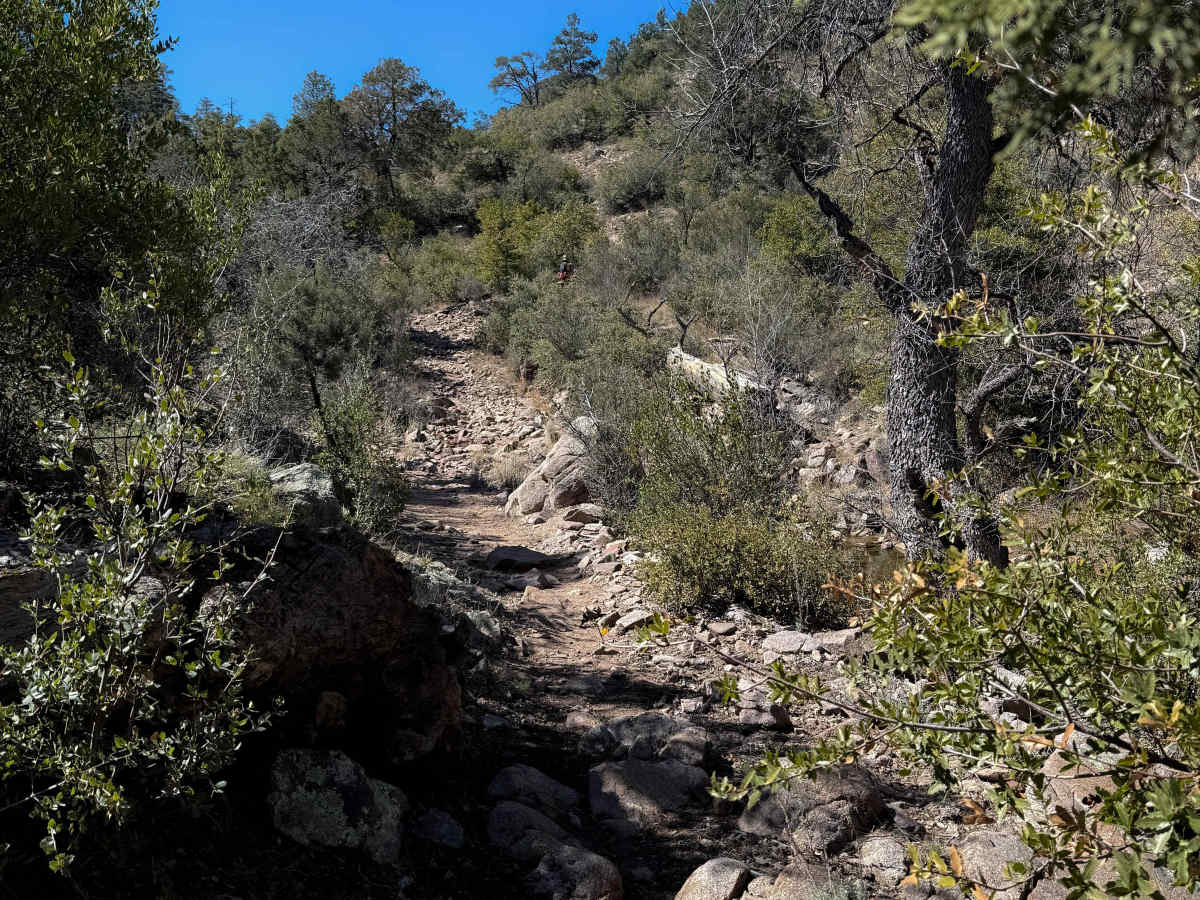 Hyde Mountain Trail #6  photo 5