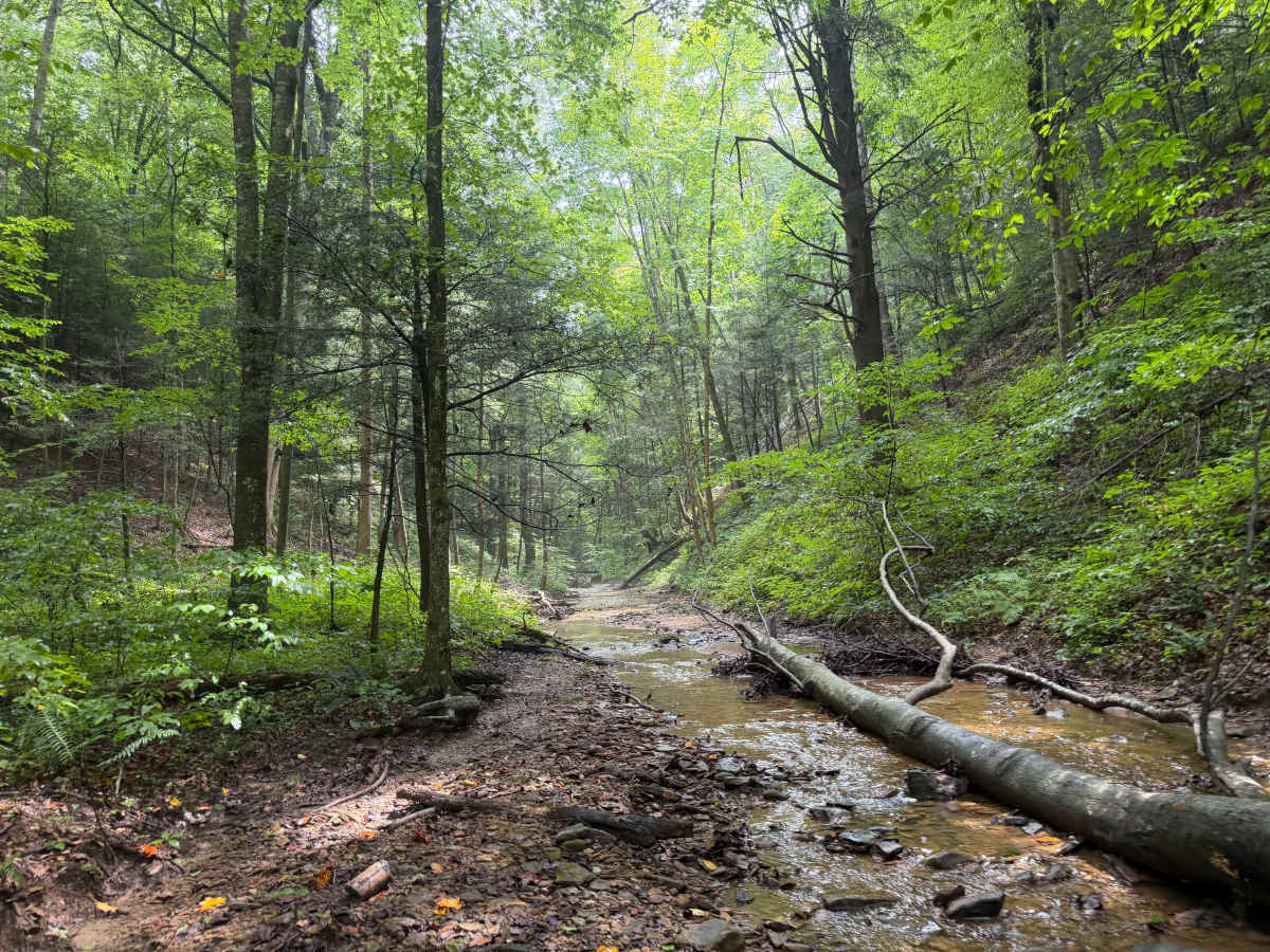 Little Buckhorn Waterfall Trail photo 2