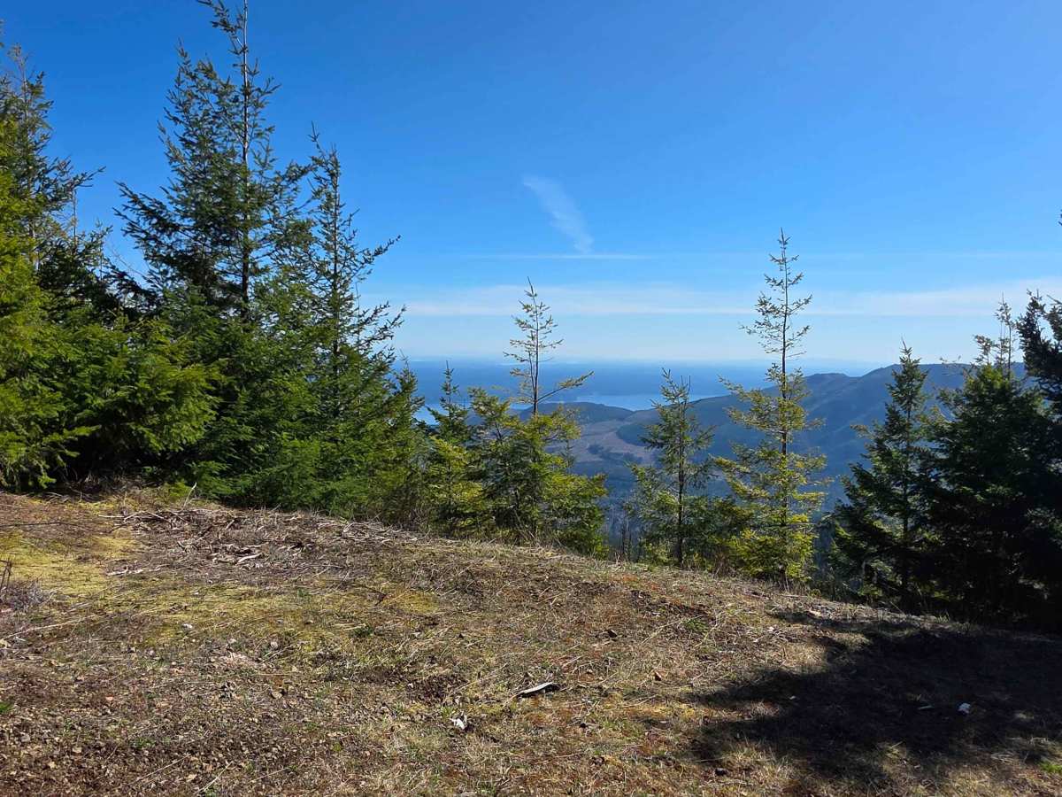 Buck Mountain Ridge Rd - FS 2060060 photo 6