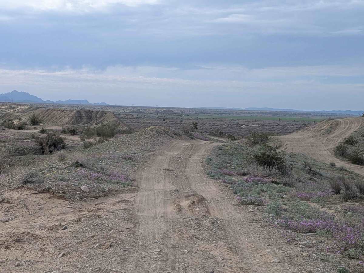 EC1328 photo 5