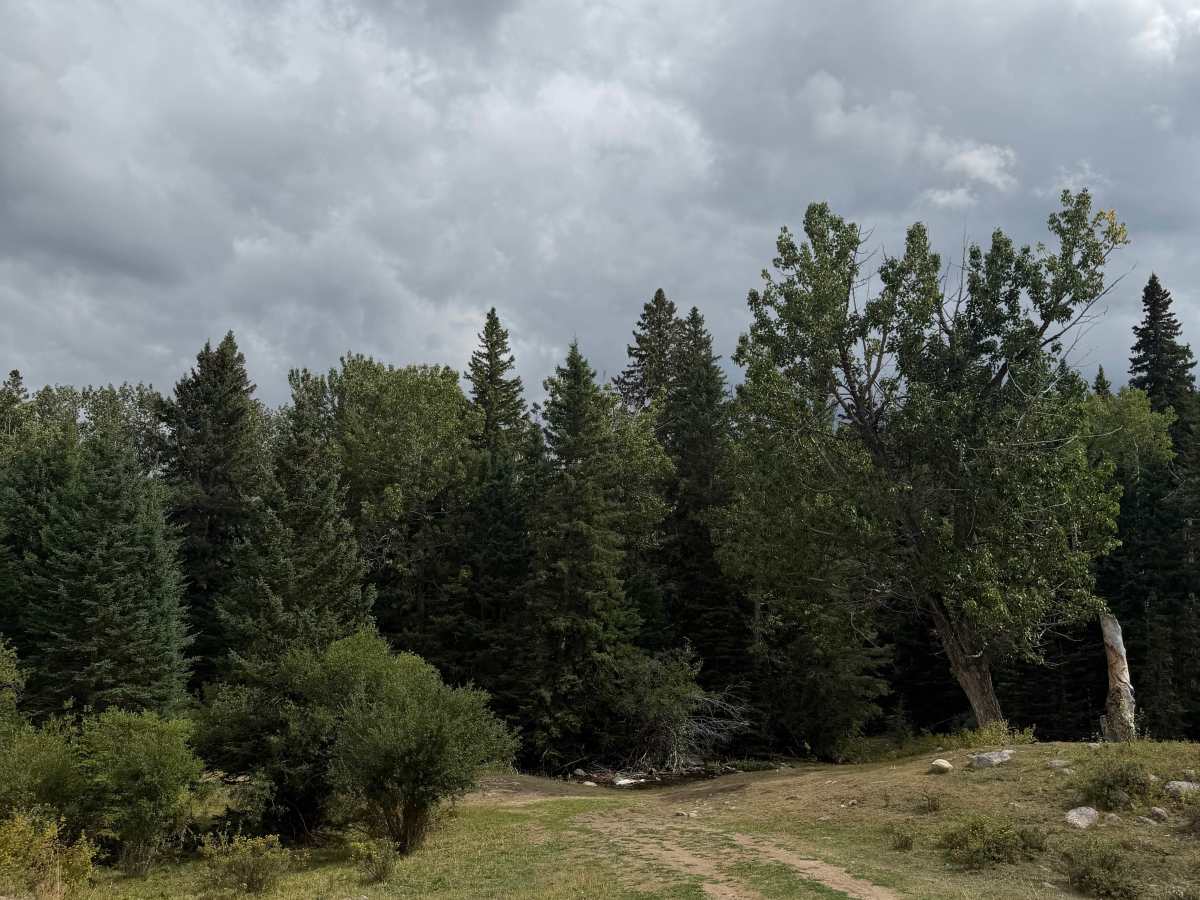 Cabin Road Trail  photo 2