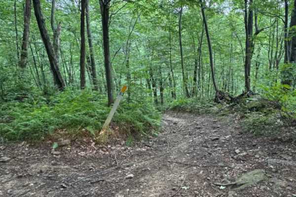 Trail 26