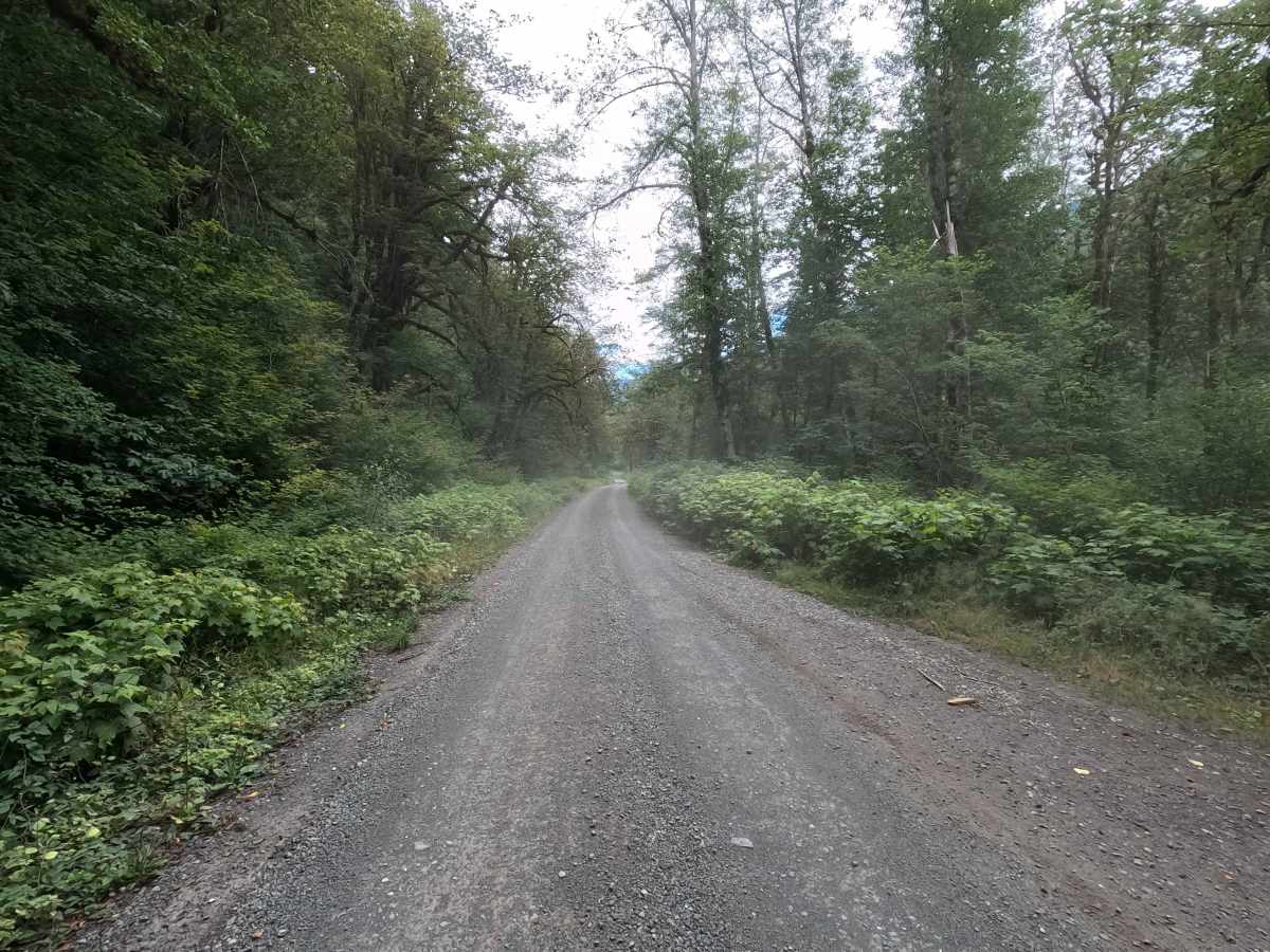 Dosewallips Road - FS 2610 photo 6
