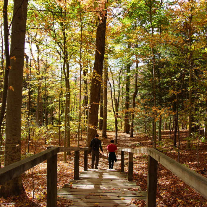 Near 5-Mile Challenge