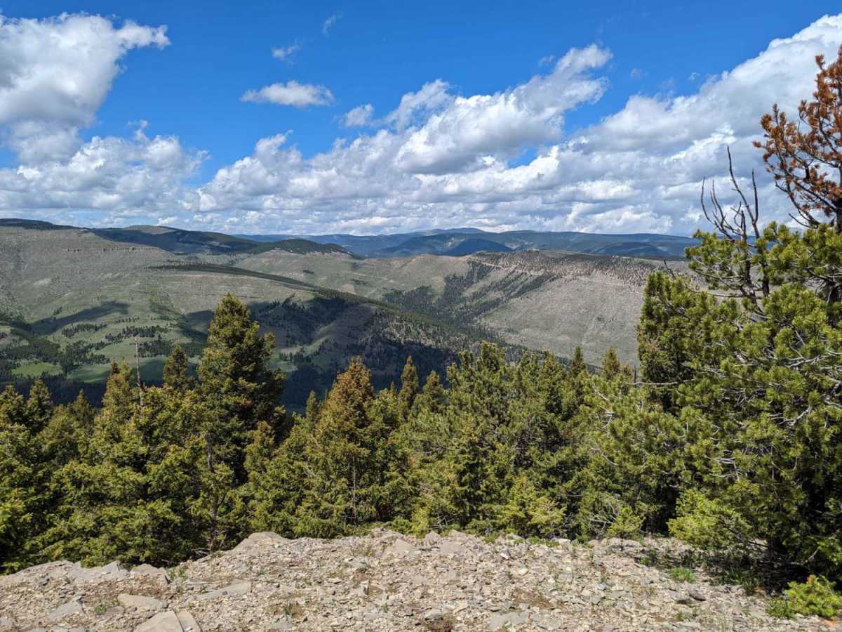 Ettien Ridge photo 5
