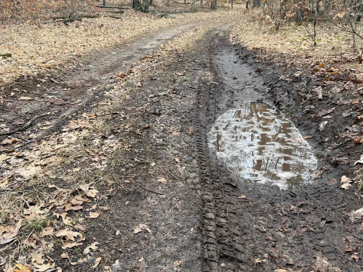 FS 8369 trail photo