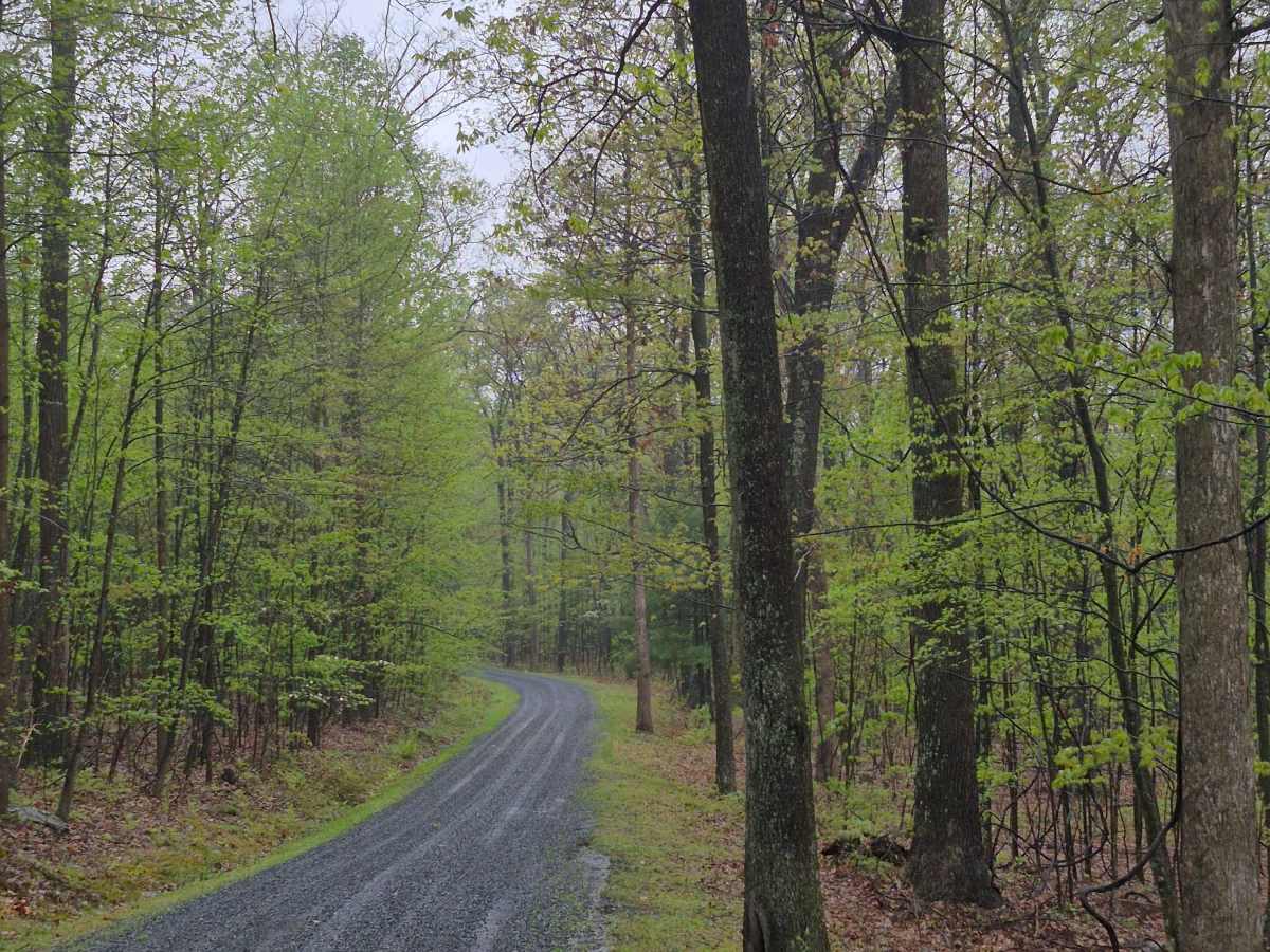 Flat Road photo 4