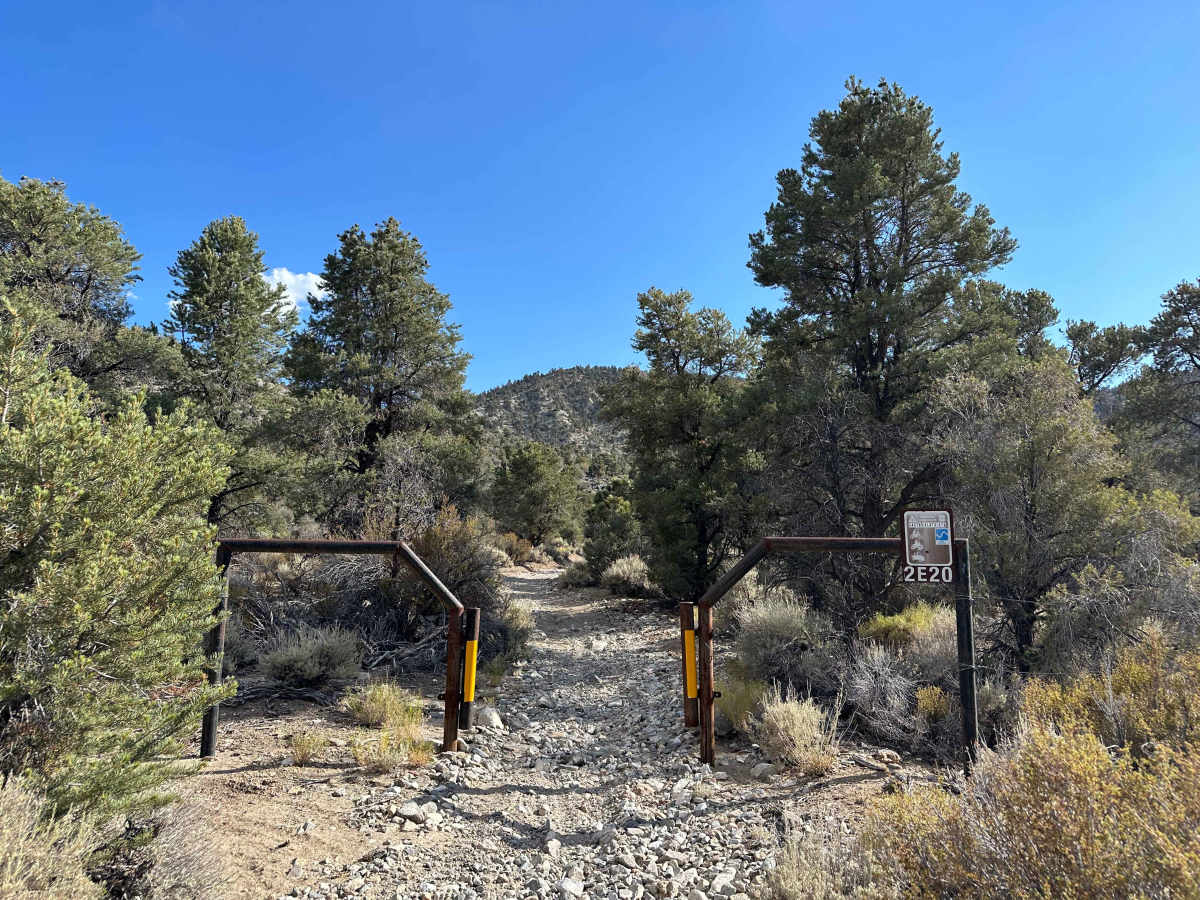 Pinyon & Vista Trail Loop - FS 2E20 photo 4