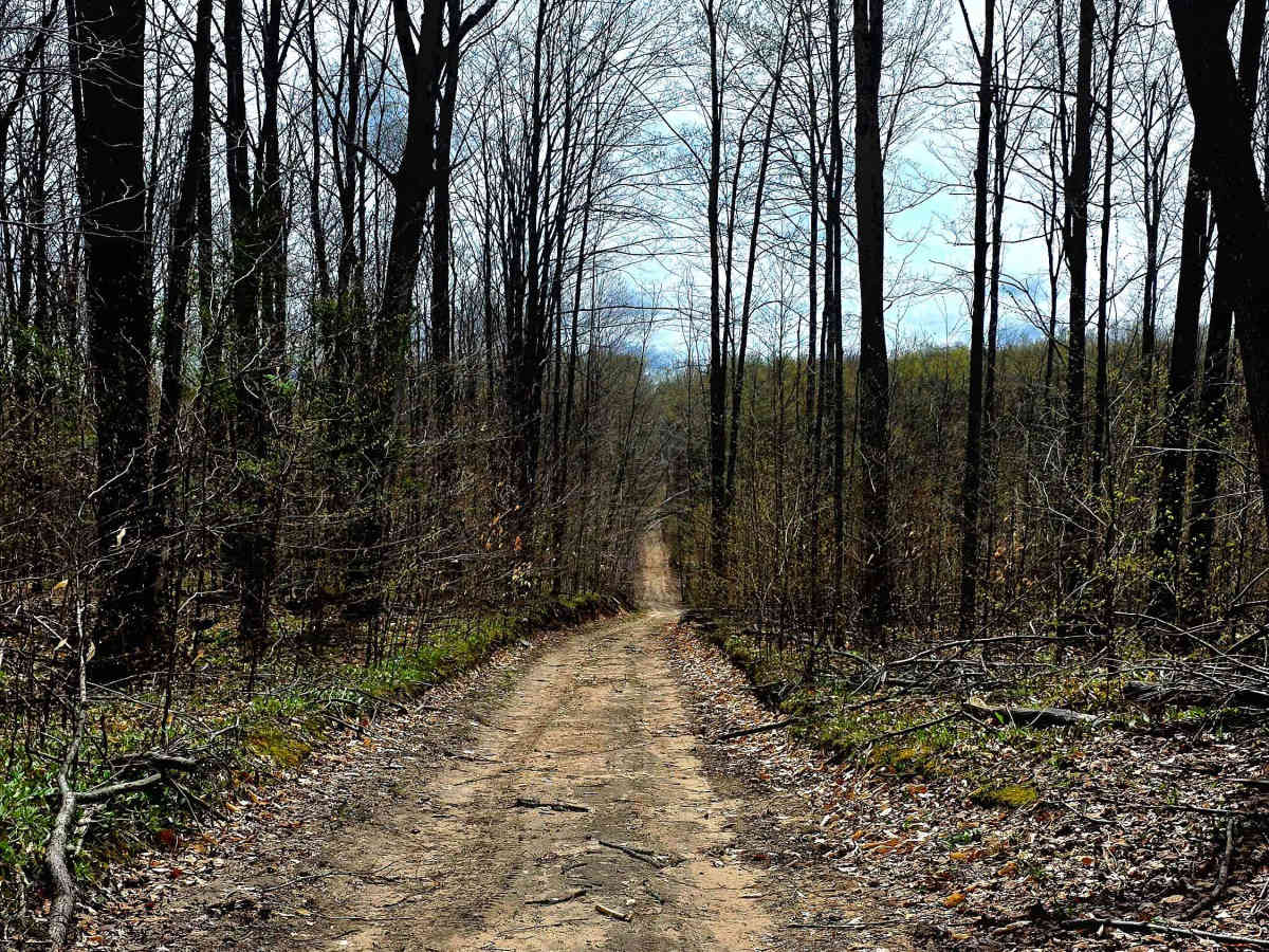 Gillette Road  trail photo