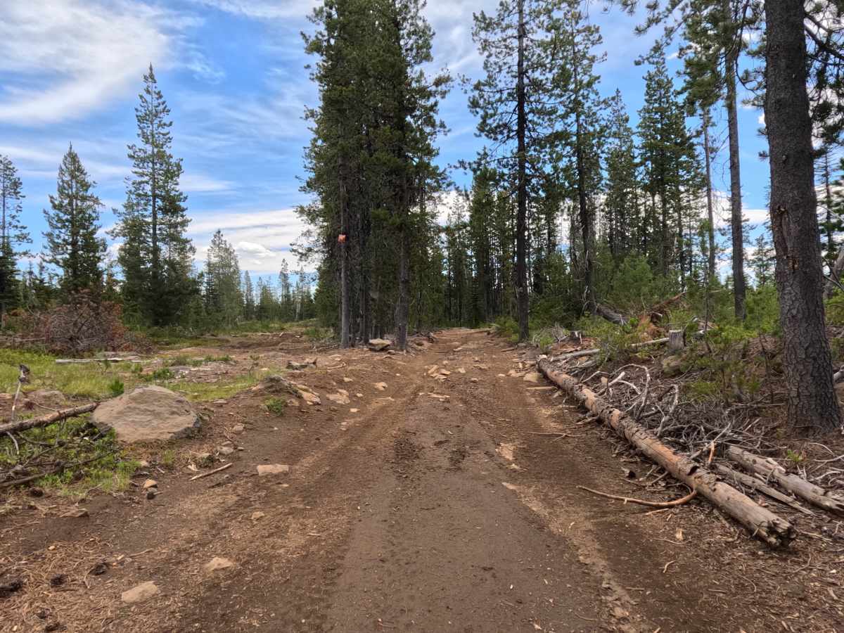 FS 2690-920 Northern Segment photo 5