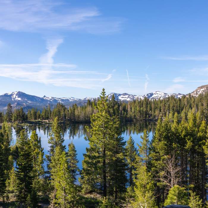 Near Scotts Lake Trail