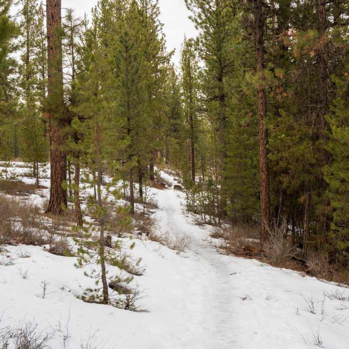Near McGregor Loop Near McGregor Loop