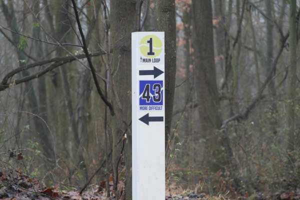 Trail 43