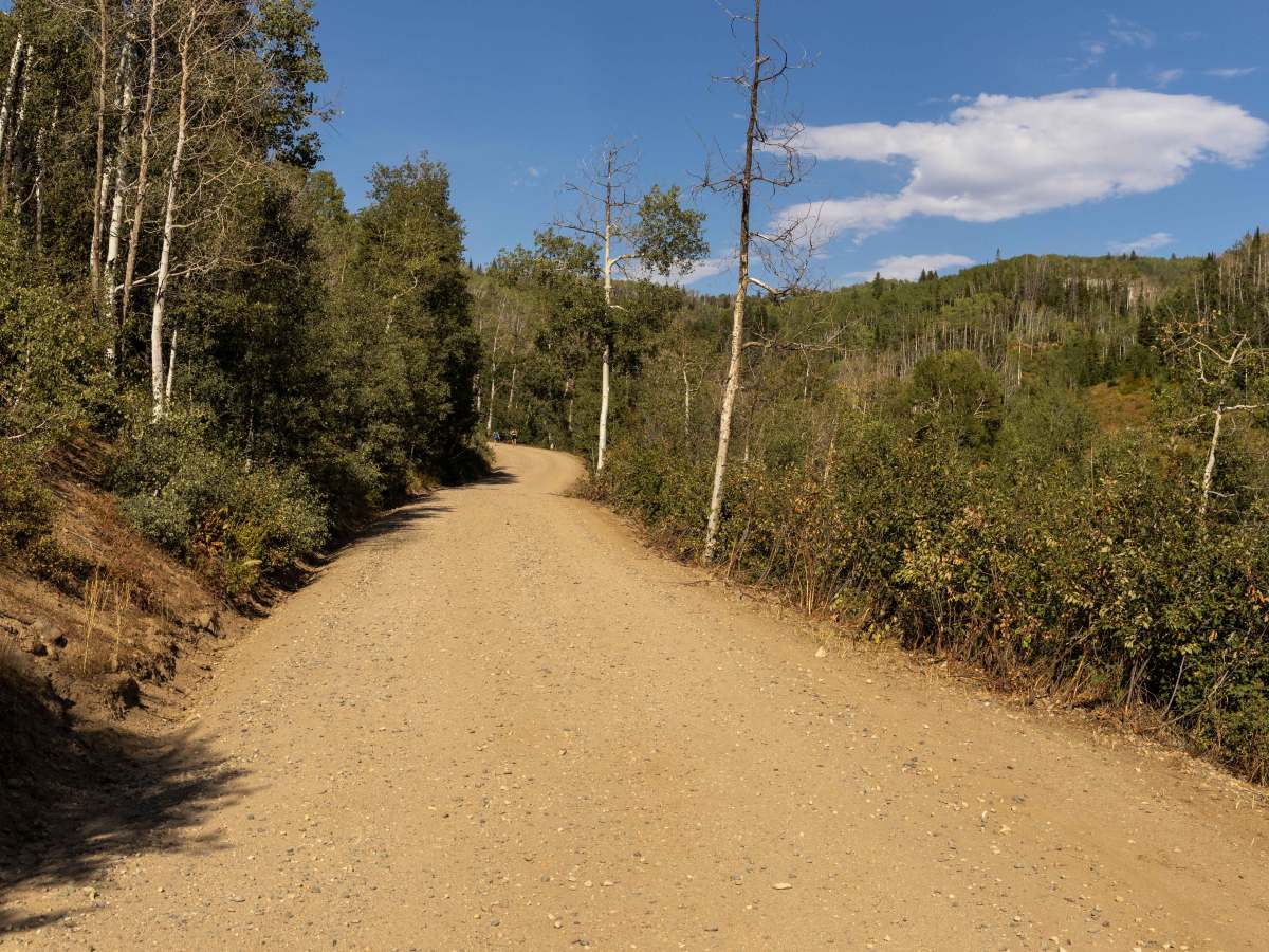 Buffalo Pass photo 4
