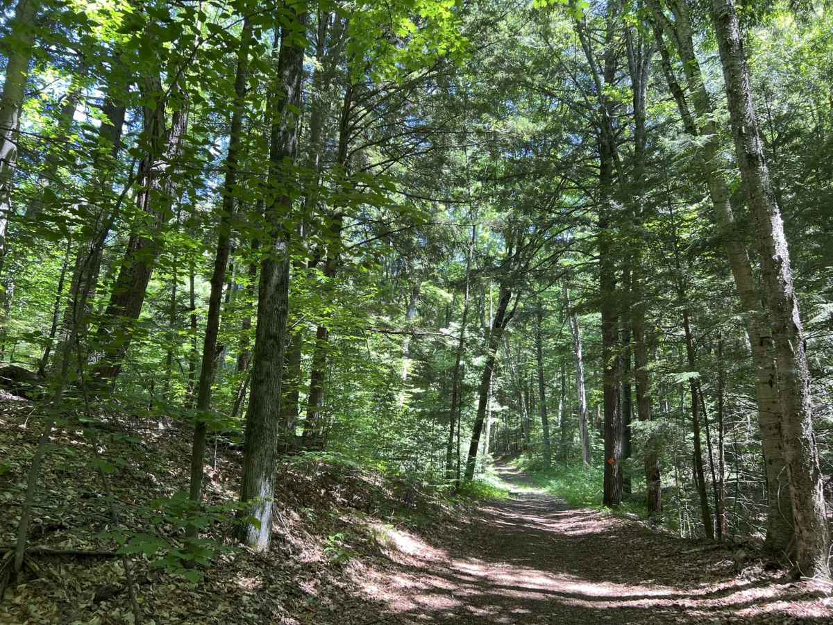 FS 3391 trail photo