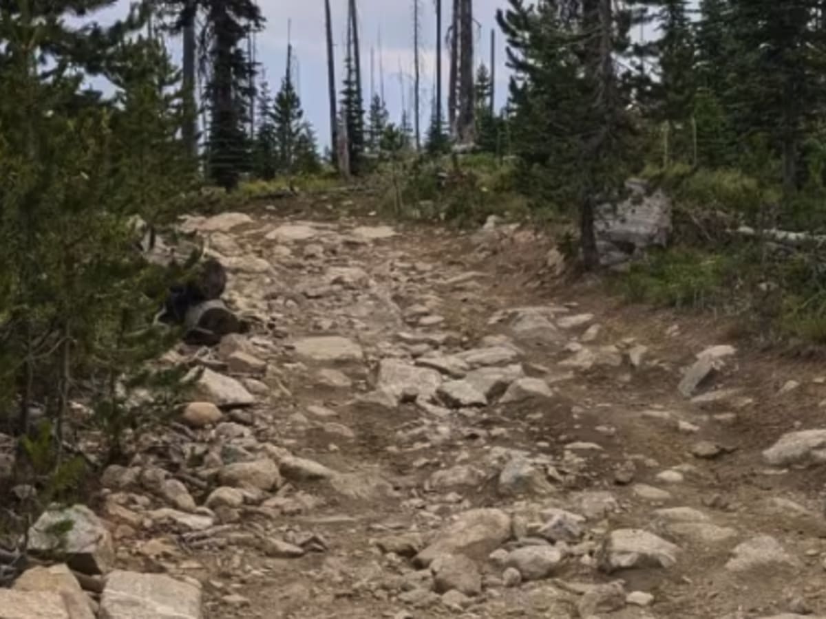 Grouse Creek - Marshall Mountain Road - FS 325 photo 5