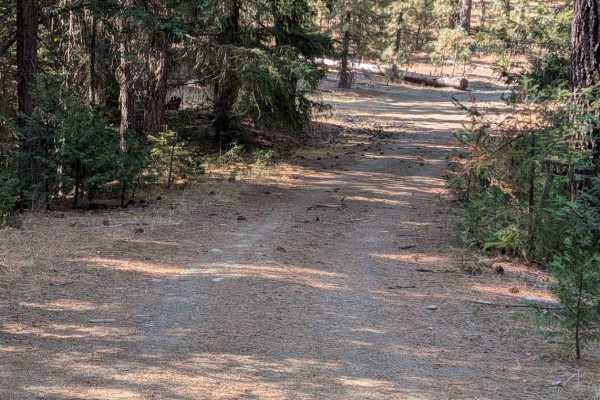 Naufus Creek Road - FS 1N09
